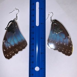 Real butterfly wing earrings!